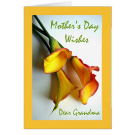 Moederdag voor oma, Calla Lilies