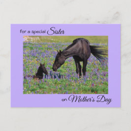Moederdag voor Sister Mare & Foal Foto Briefkaart