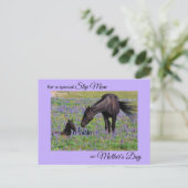 Moederdag voor stap moeder merrie & veulen foto briefkaart (Staand voorkant)