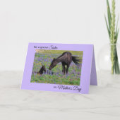 Moederdag voor Zuster Mare Foal Flowers Foto Kaart (Voorkant)