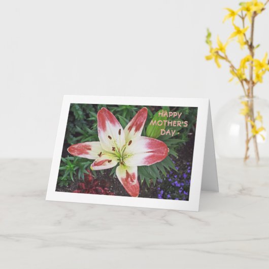 Moederdag Waardering/ PRETTY DAYLILY Kaart (Gele Bloem)