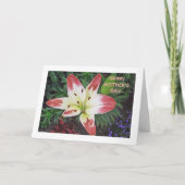 Moederdag Waardering/ PRETTY DAYLILY Kaart (Voorkant)