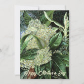 Moederdag White Floral Feestdagenkaart (Voorkant)