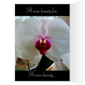 MOEDERDAG WHITE ORCHID-kaart (Binnen (Links))
