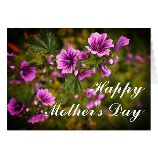 Moederdag Zebra Hollyhock Flowers #2 Kaart (Voorkant Horizontaal)