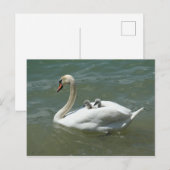 Moederdag zwenkvogels natuur schattig briefkaart (Voorkant / Achterkant)