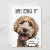 Moederdagkaart, Grappige hond Moederdag hond moede Feestdagenkaart (Voorkant)