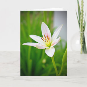 Moederdagkaart met bloemvaatjes kaart