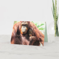 Moederdagkaart met orang-oetan die de duim omhoog