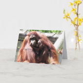 Moederdagkaart orang-oetan kaart (Gele Bloem)