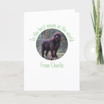 Moederdagkaart van de hond