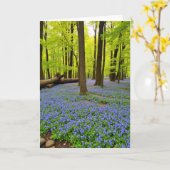 Moederdagkaart Violet Bloom Kaart (Gele Bloem)