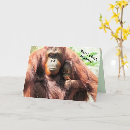 Moederdagkaart voor de beste moeder ter wereld - o kaart (Gele Bloem)