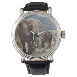 Moederelefant loopt met olifantkalf horloge