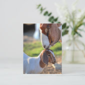 Moedergeiten en Baby Briefkaart (Staand voorkant)