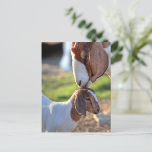 Moedergeiten en Baby Briefkaart (Staand voorkant)