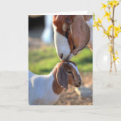 Moedergeiten en Baby Kaart (Gele Bloem)