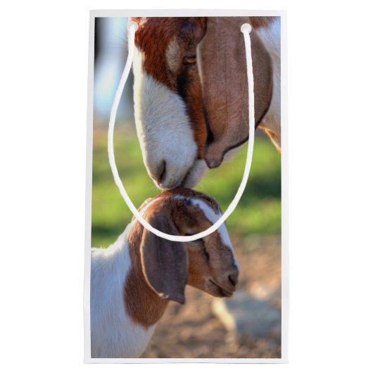 Moedergeiten en Baby Klein Cadeauzakje (Voorkant)