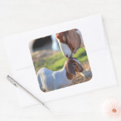 Moedergeiten en Baby Vierkante Sticker (Envelop)