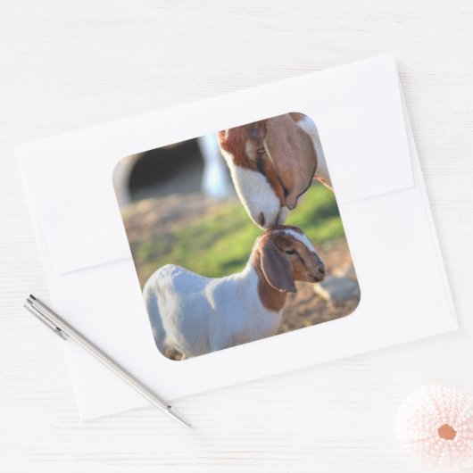 Moedergeiten en Baby Vierkante Sticker (Envelop)