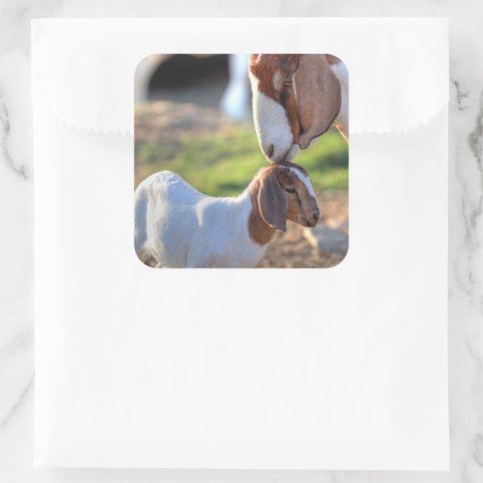 Moedergeiten en Baby Vierkante Sticker (Tas)