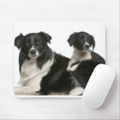 Moedergrens collie en puppy muismat (Met muis)