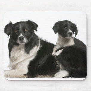 Moedergrens collie en puppy muismat