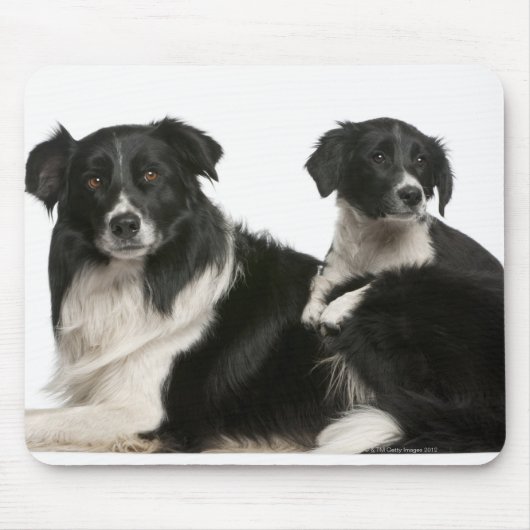 Moedergrens collie en puppy muismat (Voorkant)