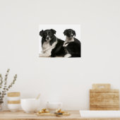 Moedergrens collie en puppy poster (Keuken)