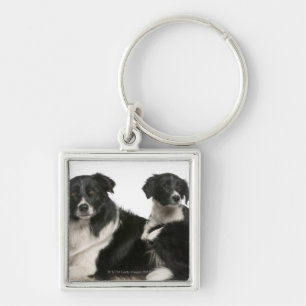 Moedergrens collie en puppy sleutelhanger