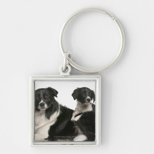 Moedergrens collie en puppy sleutelhanger (Voorkant)