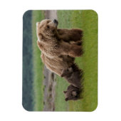 Moedergrizzlybeer met tweelingwelpen magneet (Verticaal)