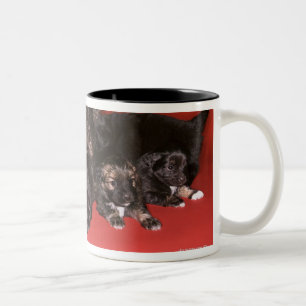Moederhond met puppies tweekleurige koffiemok