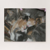Moederkat en Baby Kittens Legpuzzel (Horizontaal)