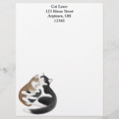 Moederkat en Kitten Letterhead Briefhoofd Sjabloon (Voorkant)
