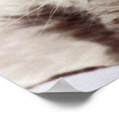 Moederkat en Kitten Poster (Hoek)