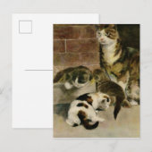  moederkat en Kittens Aankondigingskaart (Voorkant / Achterkant)