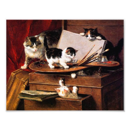 Moederkat en Kittens op tafel Foto Afdruk (Voorkant)