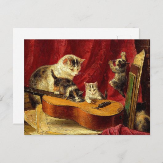 Moederkat en Kittens spelen met gitaar Briefkaart (Voorkant / Achterkant)