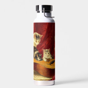 Moederkat en Kittens spelen met gitaar Waterfles