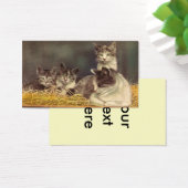 Moederkat en Kittens Visitekaartjes (Bureau)
