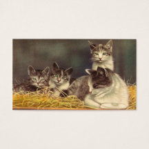 Moederkat en Kittens