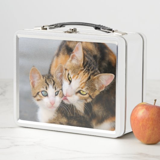 Moederkat houdt van Cute Baby Kitten Animal Pet Fo (In situ)