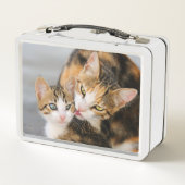 Moederkat houdt van Cute Baby Kitten Animal Pet Fo (Achterkant)