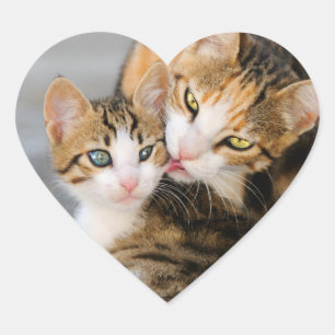 Moederkat houdt van Cute Baby Kitten Animal Pet Fo Hart Sticker