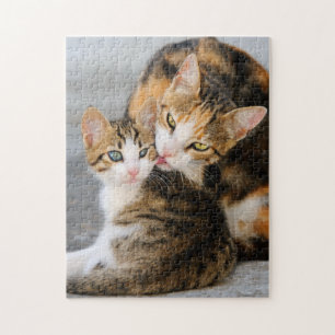 Moederkat houdt van Cute Baby Kitten Animal Pet Fo Legpuzzel