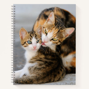 Moederkat houdt van Cute Baby Kitten Animal Pet Fo Notitieboek