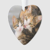 Moederkat houdt van Cute Kitten acrylversiering Ornament (voorkant)