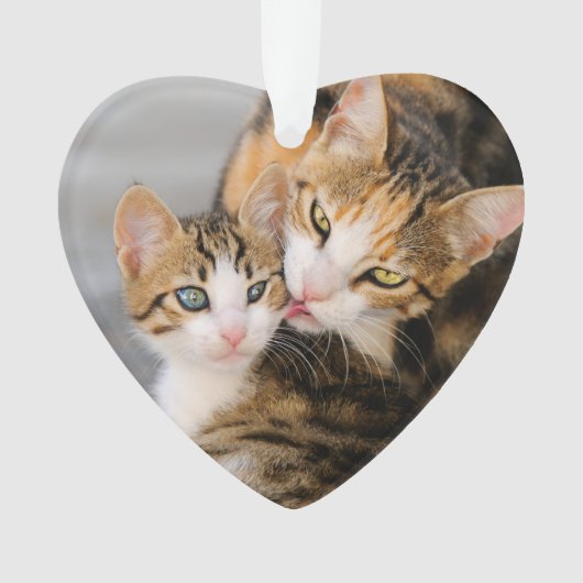 Moederkat houdt van Cute Kitten acrylversiering Ornament (voorkant)