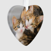 Moederkat houdt van Cute Kitten acrylversiering Ornament (voorkant)